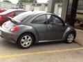 Platinum Grey - New Beetle TDI Coupe Photo No. 4