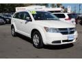 Stone White 2010 Dodge Journey SE