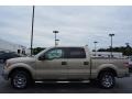 Pueblo Gold Metallic - F150 XLT SuperCrew Photo No. 6