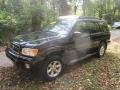 Super Black - Pathfinder SE 4x4 Photo No. 5