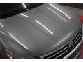 Reflex Silver Metallic - CC Luxury Photo No. 43