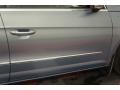 Reflex Silver Metallic - CC Luxury Photo No. 49