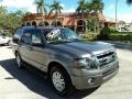 Sterling Gray - Expedition Limited Photo No. 1