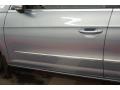 Reflex Silver Metallic - CC Luxury Photo No. 60