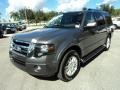 Sterling Gray - Expedition Limited Photo No. 14