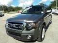 Sterling Gray - Expedition Limited Photo No. 15
