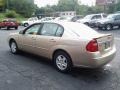 2005 Light Driftwood Metallic Chevrolet Malibu LS V6 Sedan  photo #4