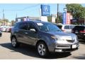 Polished Metal Metallic - MDX  Photo No. 1