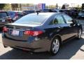 Graphite Luster Metallic - TSX Technology Photo No. 3