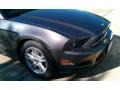 Sterling Gray - Mustang V6 Coupe Photo No. 10