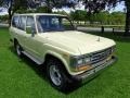 Beige - Land Cruiser FJ62 Photo No. 29