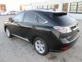 2010 Obsidian Black Lexus RX 350 AWD  photo #9