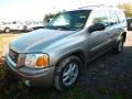 2002 Pewter Metallic GMC Envoy SLT 4x4 #97937551