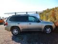Pewter Metallic - Envoy SLT 4x4 Photo No. 3