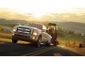 2014 Green Gem Metallic Ford F350 Super Duty Lariat Crew Cab 4x4  photo #15