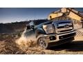 2014 Green Gem Metallic Ford F350 Super Duty Lariat Crew Cab 4x4  photo #18