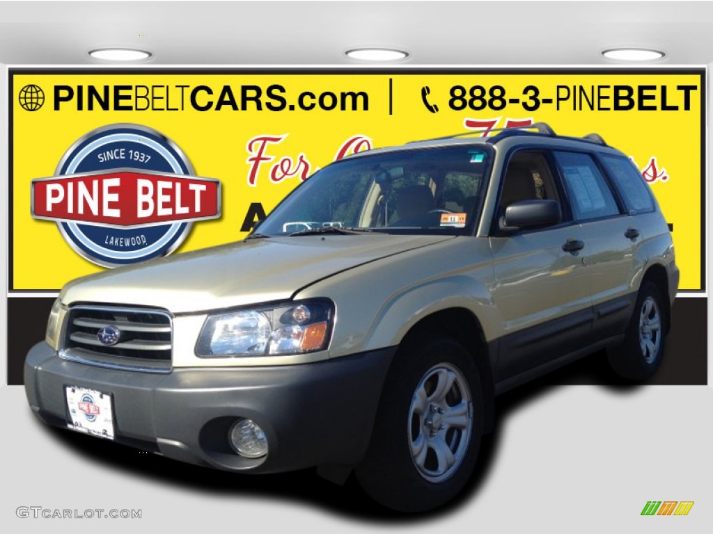 Sierra Gold Metallic Subaru Forester