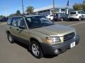 2004 Sierra Gold Metallic Subaru Forester 2.5 X  photo #3