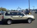 2004 Sierra Gold Metallic Subaru Forester 2.5 X  photo #5