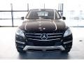 Black - ML 350 4Matic Photo No. 6