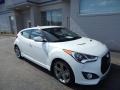 Elite White - Veloster Turbo Photo No. 1