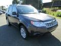 Dark Gray Metallic - Forester 2.5 X Premium Photo No. 4