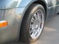 Magnesium Pearlcoat - 300 C HEMI Photo No. 8