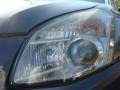 Dark Slate Metallic - Maxima 3.5 SE Photo No. 30