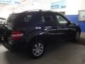 Black - ML 350 4Matic Photo No. 4