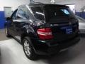 Black - ML 350 4Matic Photo No. 6