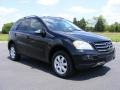 Black - ML 350 4Matic Photo No. 2