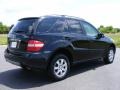 Black - ML 350 4Matic Photo No. 3
