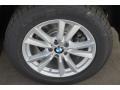 2015 BMW X5 xDrive35i Wheel and Tire Photo