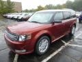 2014 Sunset Ford Flex SEL AWD  photo #5