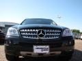 Black - ML 350 4Matic Photo No. 8