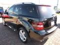 Black - ML 350 4Matic Photo No. 11