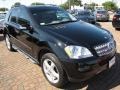 Black - ML 350 4Matic Photo No. 15