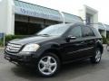Black - ML 350 4Matic Photo No. 1