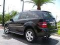 Black - ML 350 4Matic Photo No. 8