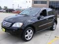 Black - ML 350 4Matic Photo No. 7