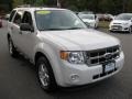 White Suede 2012 Ford Escape XLT 4WD