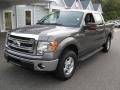 Sterling Grey - F150 XLT SuperCrew 4x4 Photo No. 3