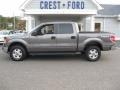 Sterling Grey - F150 XLT SuperCrew 4x4 Photo No. 4