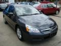2006 Graphite Pearl Honda Accord EX-L Sedan  photo #5
