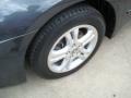 2006 Graphite Pearl Honda Accord EX-L Sedan  photo #9