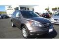 2010 Urban Titanium Metallic Honda CR-V EX-L  photo #4