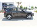Kona Coffee Metallic - RDX Technology Photo No. 8