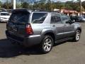 2006 Galactic Gray Mica Toyota 4Runner Limited 4x4  photo #4