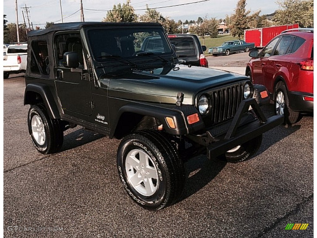 2006 Wrangler SE 4x4 - Jeep Green Metallic / Dark Slate Gray photo #2