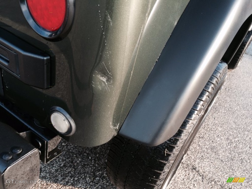 2006 Wrangler SE 4x4 - Jeep Green Metallic / Dark Slate Gray photo #25